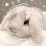 a7NRYRqb2s0-channel-avatar-♡Mocha_baby...₍ᐢ..ᐢ₎
