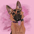 0t25xIXtlY4-channel-avatar-Lucy the German Shepherd