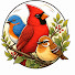 L8BJcCmQwow-channel-avatar-Birdie Minds and Machiavelli Wisdom
