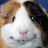 @HelloHello-hi's avatar