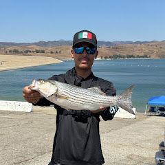 Aceves Fishing