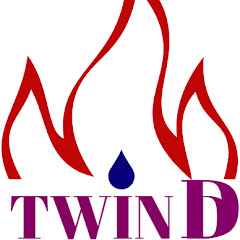 Twin D (Twin Flame Coach) Avatar