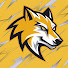 Eya2wf5itKs-channel-avatar-Kayzer