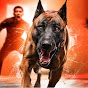 The Pet Perspective   Avatar