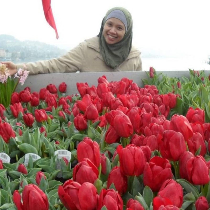 Arieta Dwiana