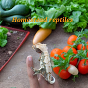 Homestead reptiles