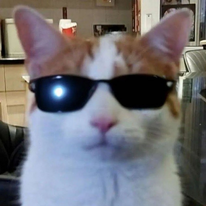 тавл.
