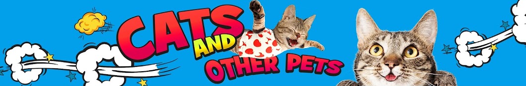 Cats and other pets Awatar kanału YouTube
