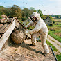 HornetCatching