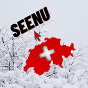 Seenu from Switzerland Telugu Vlogs