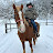@Unicorn-Ranch