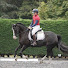 JAIQpRuko_Y-channel-avatar-Fifis welsh ponies