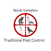 Andy Dowsland Rural Pest Control