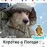 Автор