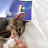 @Catnbook