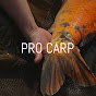 PRO CARP logo