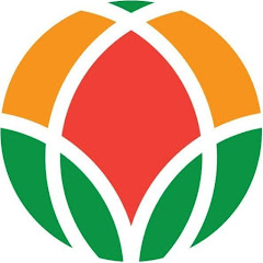 Логотип каналу World Vegetable Center