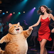 Cute fat orange cat