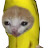 Banana Cat Friends