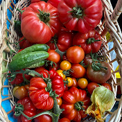 Urban Allotment With Lauksie
