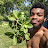 @Ajay.Plants