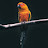 @Praveenparmar360 Avatar