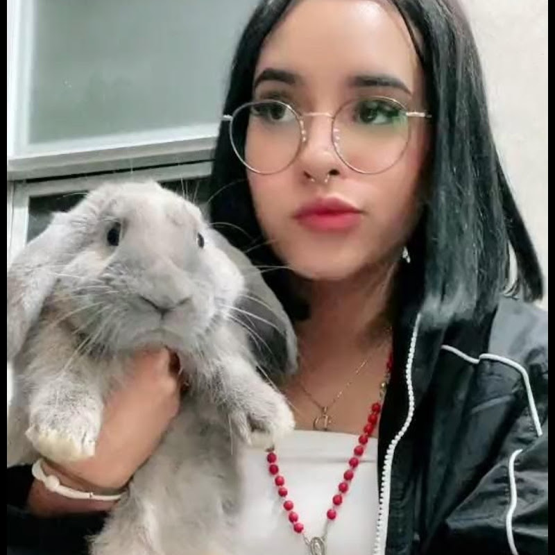 heidy rosario peñafiel delgado