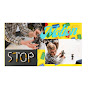 Stop motion farzad  logo