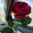 @MenaaMohamed-f5e