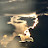@DroneJedi-z5p8t