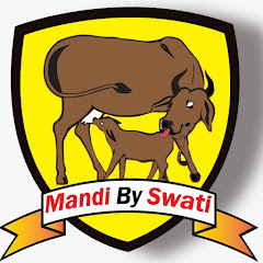 Mandi by Swati Avatar