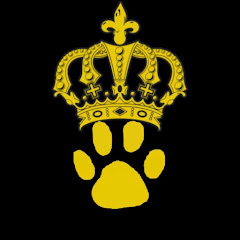 KING SWAGZ TV