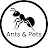 ants and pets