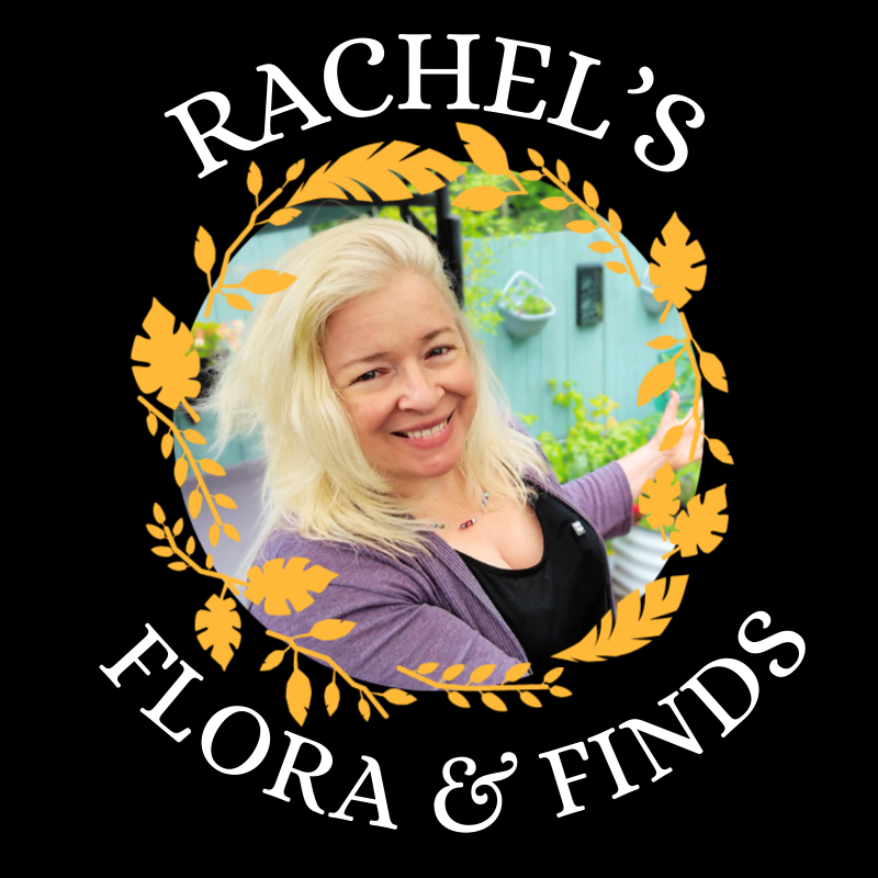 Post from Rachel's Flora & Finds