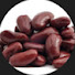 YaY0kGpKzkk-channel-avatar-BestOfRocketBeans