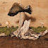m5sY9NSfFJQ-channel-avatar-Beginner Wood Carving Arts & Crafts