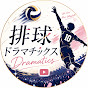 排球ドラマチックス