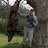 @Mike_The_Hog_A_Nator's avatar