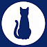 nlGZmJrBtNc-channel-avatar-Blue Cat