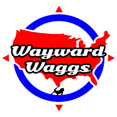 Wayward Waggs net worth