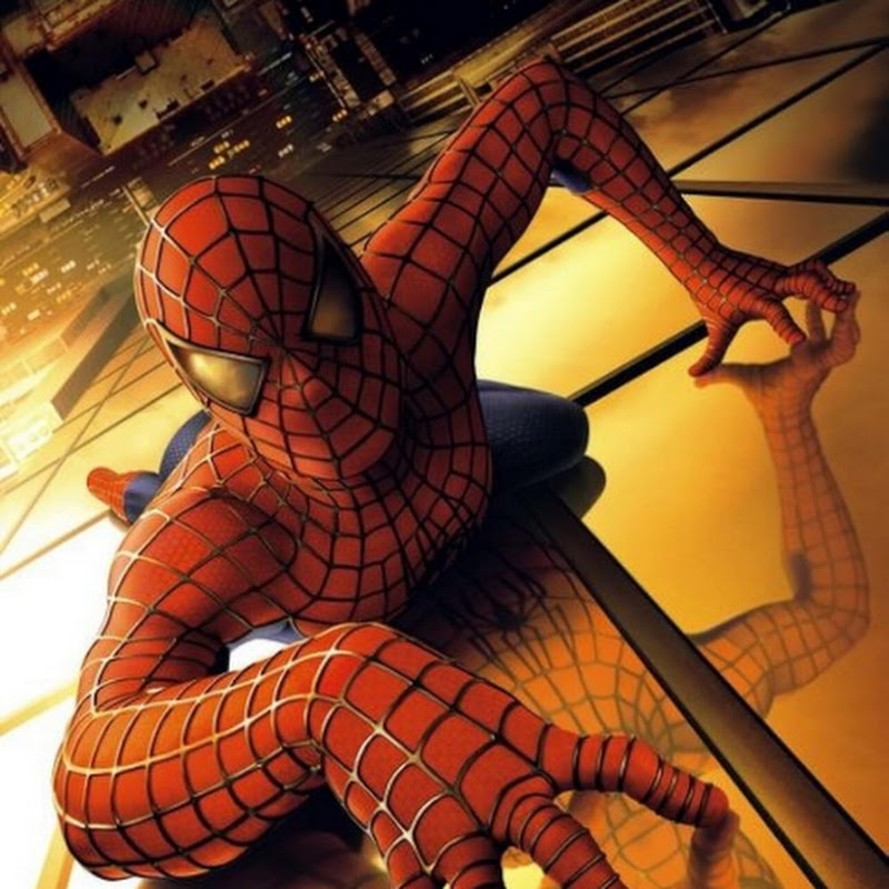 spider 🕷️