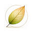 EQcQwtgkTow-channel-avatar-Still Land