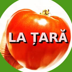 La Tara net worth