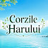 wHM_xJKJF0Q-channel-avatar-Corzile Harului