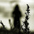 @MJR71123 Avatar