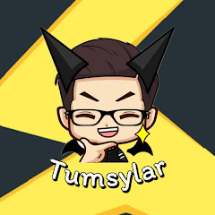 TumSylar channel logo
