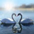 IBmi0ofvNlU-channel-avatar-lohengrin117