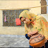 jCkhIRcCI0Y-channel-avatar-Punjabi Pendu Vloger