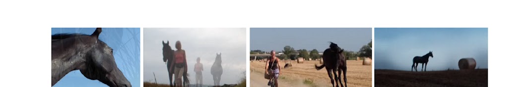 Horse & human -riding is an optional- not a must Avatar canale YouTube 