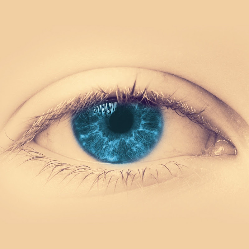 探寻记Exploring the diary